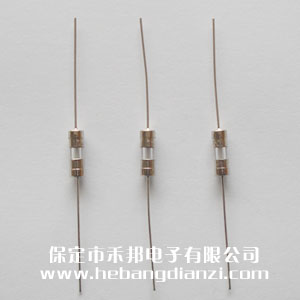 3.6*10mm 1A 